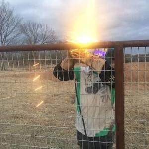 Meet your Posher, James